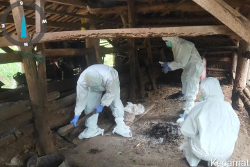 Kementan Respon Cepat Kejadian Anthrax di Gunung Kidul dan Sleman