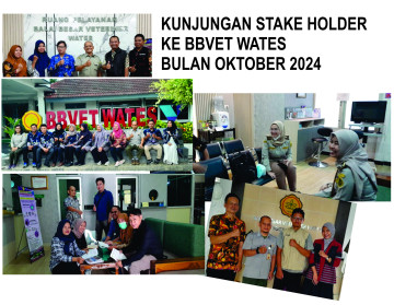 Galeri Kunjungan Konsultasi dan Diskusi Stake Holder Bulan Oktober 2024