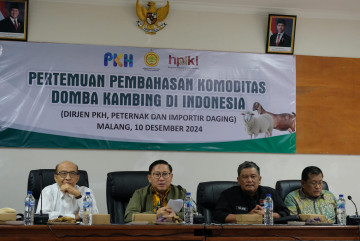 Kementan Tekankan Kolaborasi Peternak dan Importir untuk Serap Domba dan Kambing Lokal