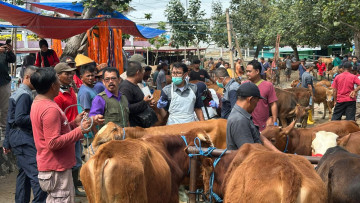 Kementan Sigap Antisipasi Peningkatan Penyakit Hewan