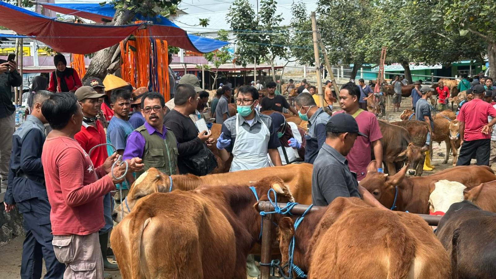 Kementerian Pertanian Sigap Antisipasi Peningkatan Penyakit Hewan