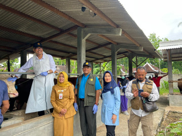 Kementan Percepat Vaksinasi PMK di Gunungkidul, Daerah Istimewa Yogyakarta