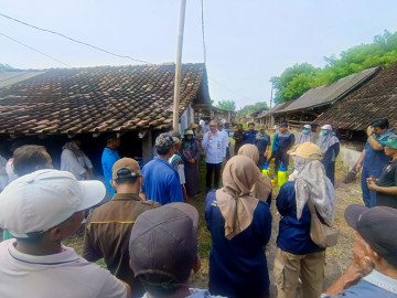 Kementan Lakukan Vaksinasi Gratis PMK dan Edukasi Peternak di Bantul