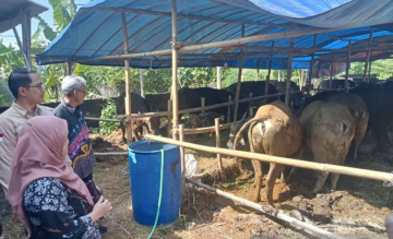 BBV Wates Bersama Dinas Terkait Lakukan Pemantauan Hewan Qurban di Kabupaten Bantul