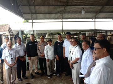 BBV Wates Bersama Dinas Terkait Lakukan Pemantauan Hewan Qurban di Kabupaten Sleman